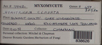 Image Associated With the Occurence